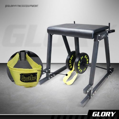 Reverse Hyperextension