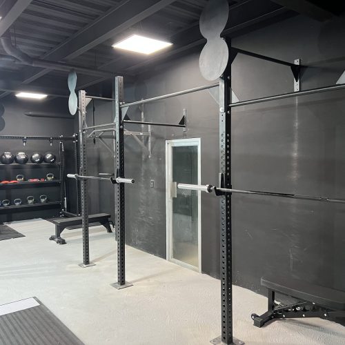 Crossfit Rigs