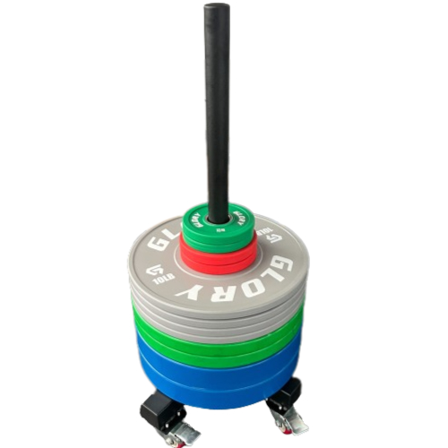 Bumper Plate Storage G0.5