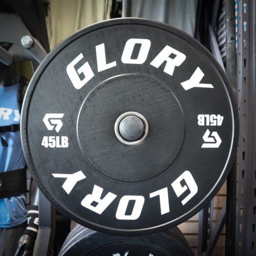 Training Bumper Plates (BW)