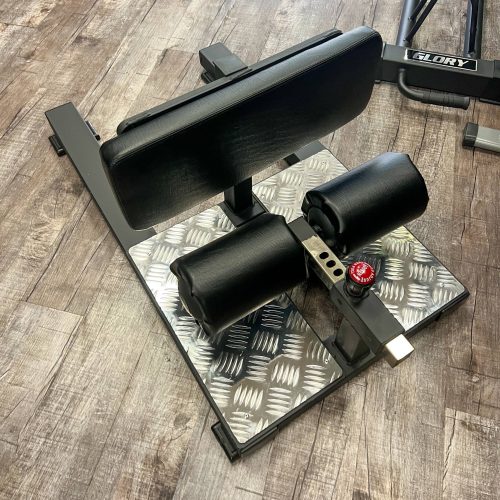 Commercial Sissy Squat