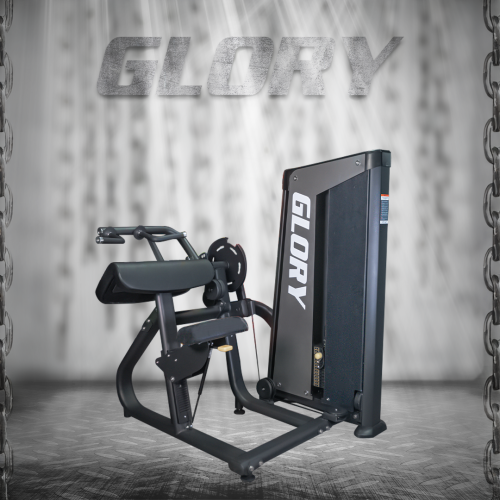BICEP/TRICEP Machine (DUAL)