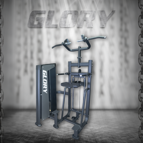 DIP/CHIN UP Assist Machine (DUAL)